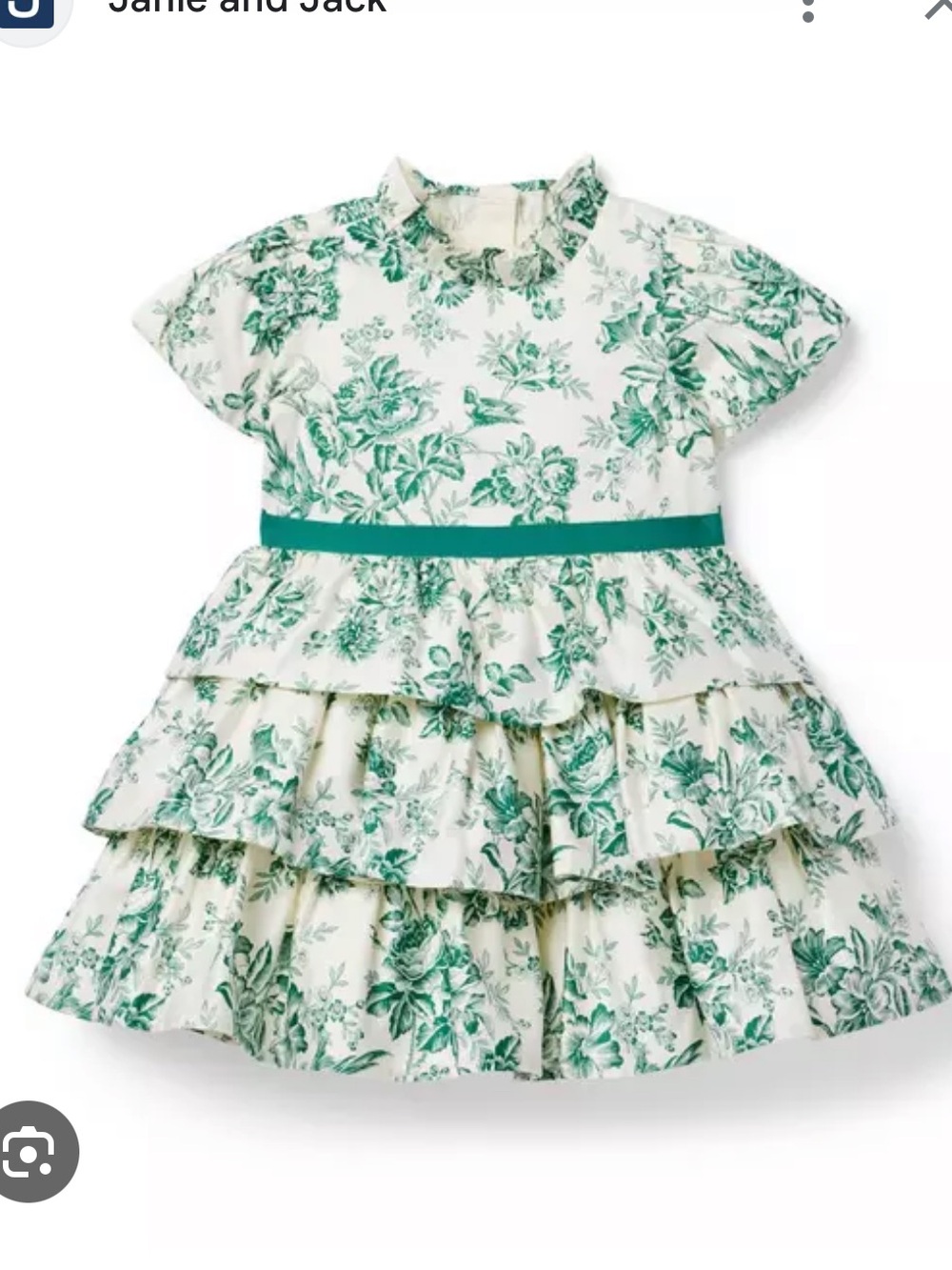 Janie and Jack green toile dress size 6